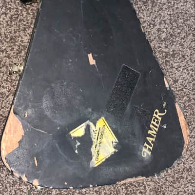 Vintage 1980’s Hamer USA  Guitar hardshell case  for Flying V vector image 2