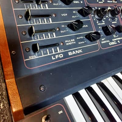 Vintage Crumar Ds-1 Rare Analog Synthesizer Synth image 5