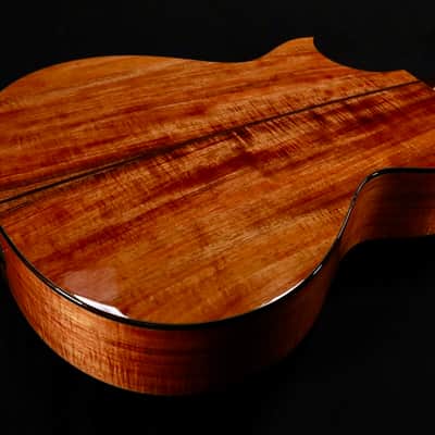 Taylor 2026 Catch Custom #41 C22ce Tasmanian Blackwood image 4