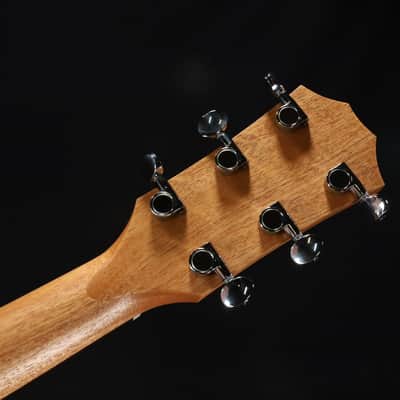 Taylor BBT 103 image 8