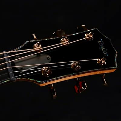 Taylor 2026 Catch Custom #41 C22ce Tasmanian Blackwood image 3