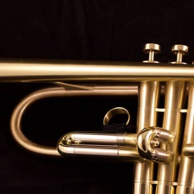 Show Demo Adams A8 Ergonomic Trumpet in Satin Lacquer image 4