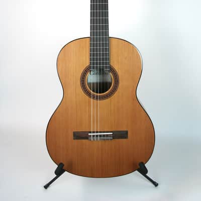 Cordoba C5 Cedar Top Nylon String image 2