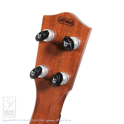 ASTURIAS <MIJ>Tiny Concert Spruce Rosewood  2020[Pre-Owned] image 6