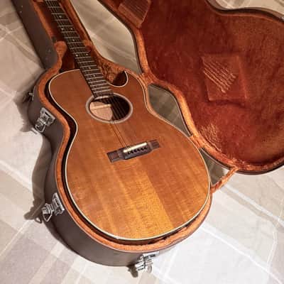 Vintage Washburn Woodstock EA40 electro acoustic 1979, tobacco sunburst, hard case image 13