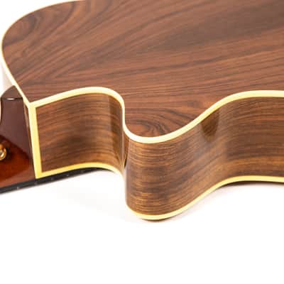 Rockbridge Custom Acoustic Owned by Mike Campbell image 20