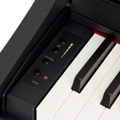 Roland RP102 BK Black image 3