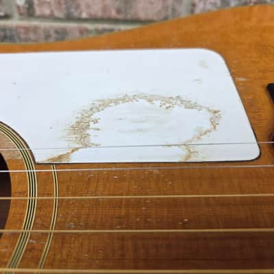 Vintage 1966 Gibson FJN Folk Acoustic Guitar w/ TKL Hardshell Case! image 7