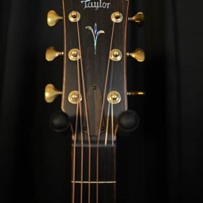 Taylor Next Generation Builders Edition K24ce 2026 - Gloss image 15