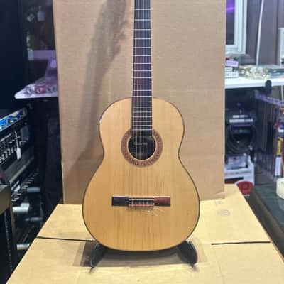 Vintage Giannini AWN71 Acoustic Guitar – Playable, Needs Restoration image 1