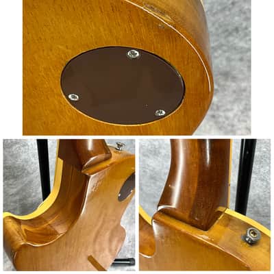 Gibson Les Paul Deluxe 1969 - 1974 - Goldtop image 22