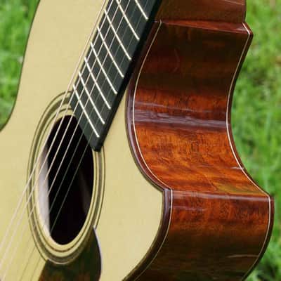 2019 The Tree Sexauer FT-000-C German Top Multi-Scale Fanfret Hot Hide Glue Varnish #2870219 image 9