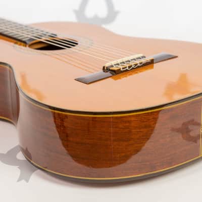 Daion GC 20 (Yamaki Built) image 19
