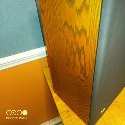 Infinity RSb 1978 - Oiled oak image 11