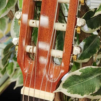 Denver DC12N-NAT 1/2 Size Nylon String Classical Guitar - Natural image 5