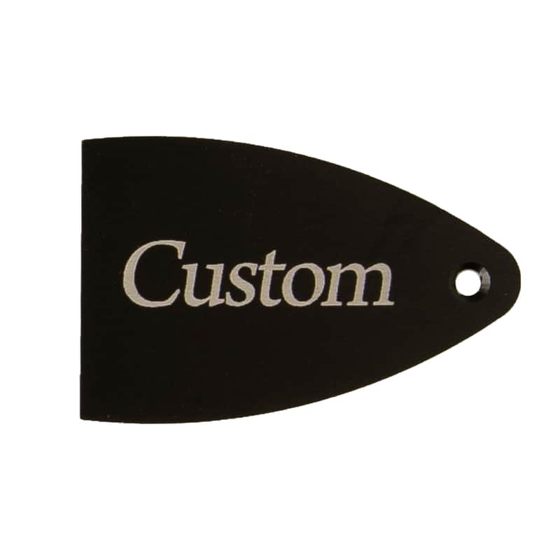 PRS Core / CE / S2 Etched Truss Rod Cover image 4