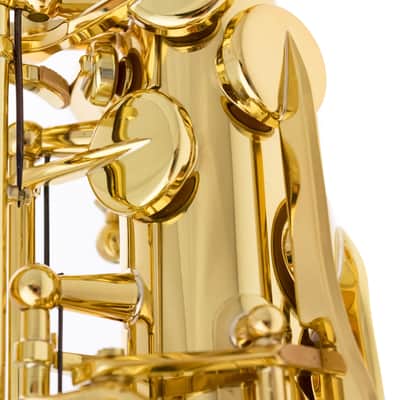 Selmer Alto Sax - Serie II in Gold Lacquer w/Engr image 16