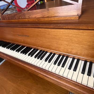 Baldwin M 1964 - Walnut image 4
