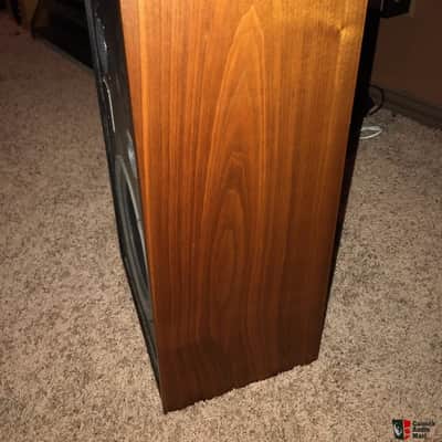 Ohm D2 1982 Walnut image 4