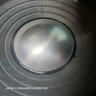 8" 16 OHM SPEAKERS 2 AVAILABLE DB DRIVE G2 *READ THE DESCRIPTION* AMPEG KUSTOM FENDER CRATE ROLAND 16 OHMS POWERHOUSES! PMR SPEAKERS HOT-RODDED image 11