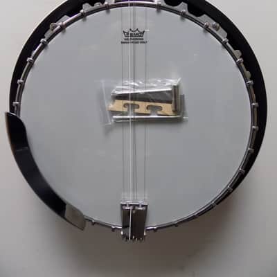 Washburn Americana B10 5-string Resonator Banjo image 1