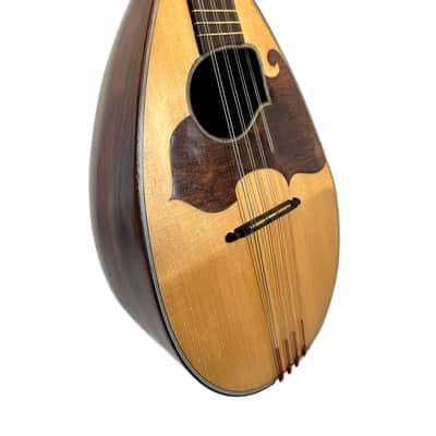 Neapolitan Mandolin G. Kasermann Style 1920's image 4