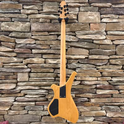 Fleishman 5-String Natural Dragon Bass *AS-IS NEEDS WORK* w/ Flight Case image 7