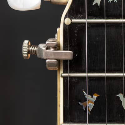 Wildwood Troubadour 5-String Open-Back Banjo Circa 1973 - Gloss image 23