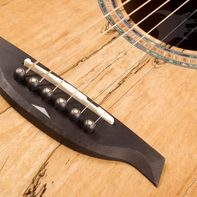 B.C. Rich Acoustic Cutaway 6 -String - Spalted Maple - W/Matrix Infinity VT & Hardcase image 8