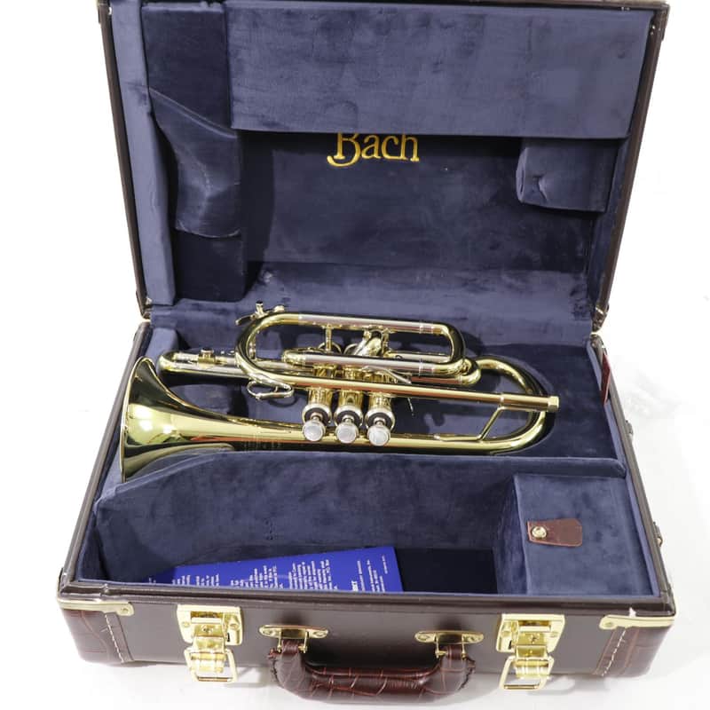Bach Model 184ML Stradivarius Shepherd's Crook Cornet SN 768694 OPEN BOX image 1
