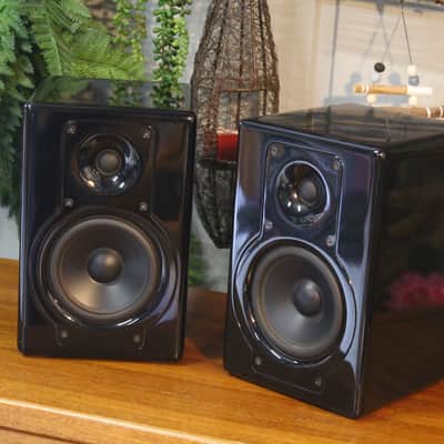 Unison I-X5 2-Way Bi-Amp Powered Speakers - Hand Built Tuned Enclosures image 4