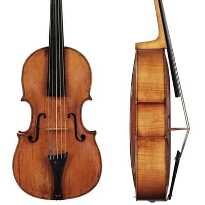 Radbon Violoncello da spalla 2025 image 21