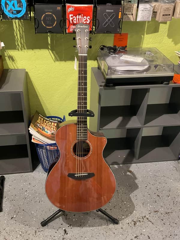 Breedlove Premier Concerto Ce Re w/case image 1