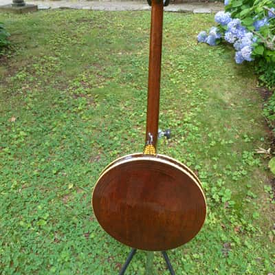 Jany tenor banjo image 6