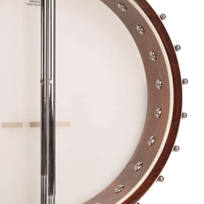 Gold Tone WL-250 White Ladye Professional Maple Neck Openback Banjo with Gig Bag image 6