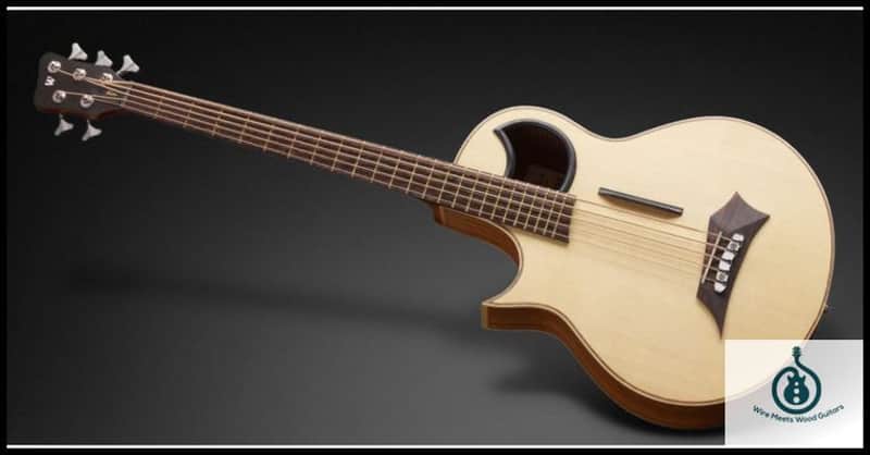 Warwick ALIEN 5 Natural Satin Acoustic Electric Bass, LEFT-HANDED, Fretted, Brand New, Free Shipping image 1
