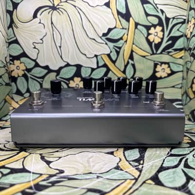 Strymon Timeline - Used image 3