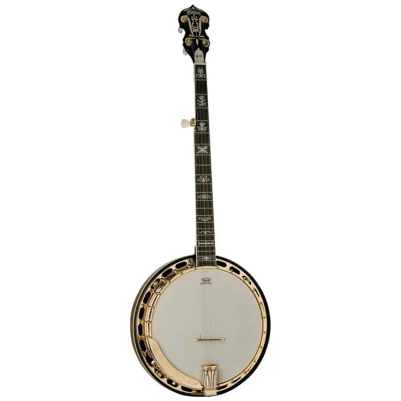 Washburn B17 Banjo image 1