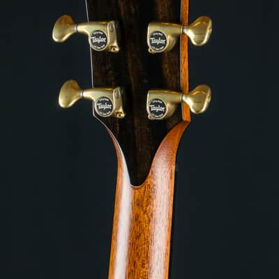 Taylor PS14ce Presentation Series Honduran Rosewood and Adirondack Spruce with Pickup Used (2025) image 23