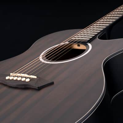 Washburn Deep Forest Ebony Ace Electro Acoustic Guitar image 7