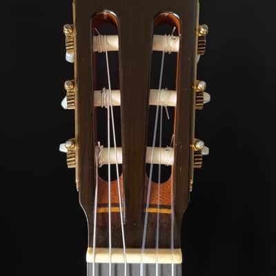 Paul Fischer Classical Fan Braced image 18