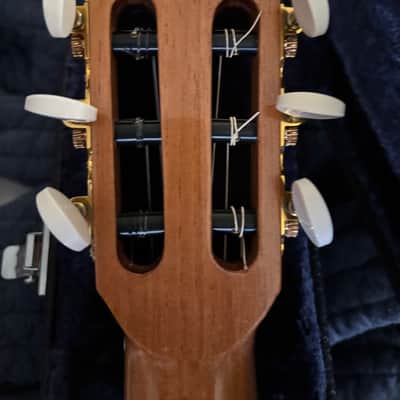 Andy Culpepper Maple 2024 - French Polish image 5