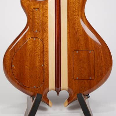 Alembic Darling Cocobolo Guitar image 6