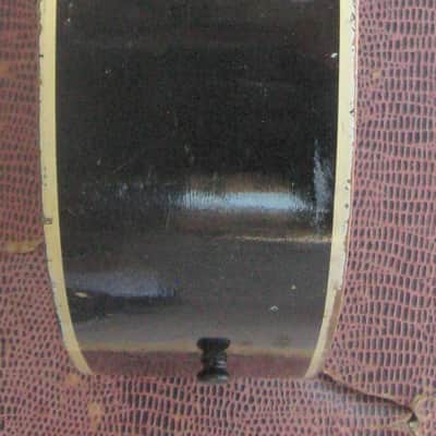 Stella "Dobro" 1960s - Redburst image 9