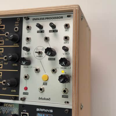 Blukač Endless Processor Eurorack Module 2022 - Present - White image 2