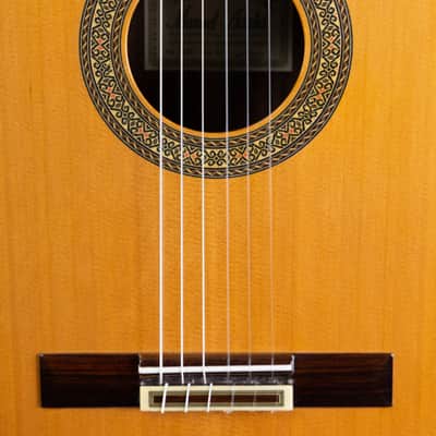Guitarras Esteve Classical 12 - 630mm - Solid Wood - Cedar Top, Granadillo B&S - Handmade in Spain image 9