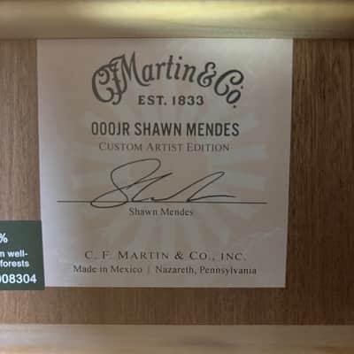 Martin 000JR-10E SHAWN MENDES image 8