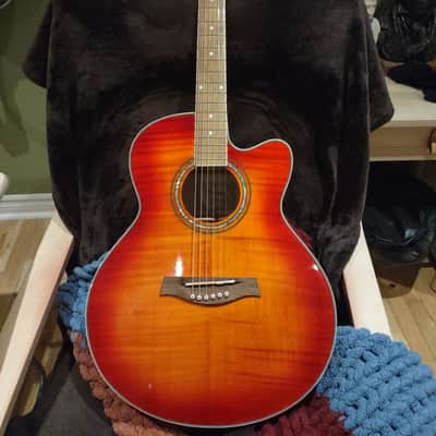 IBANEZ AEL20 acoustic guitars for sale in USA | guitar-list