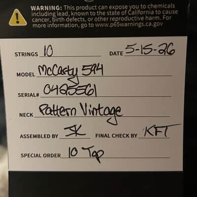 NEW PRS McCarty 594 10-Top - Aurora Borealis, Ships Fast and Free With Pro Set Up! image 19