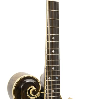 Gold Tone Grandmaster Super Cremona Mandolin w/Hard Case image 8
